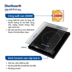 Bếp từ BlueStone ICB-6619