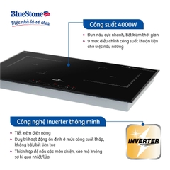 Bếp từ đôi lắp âm BlueStone ICB-6833