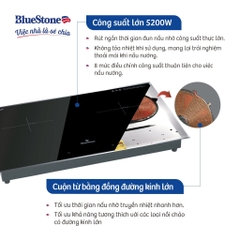 Bếp từ đôi lắp âm BlueStone ICB-6948