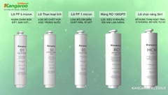 Máy lọc nước Kangaroo Hydrogen KG100US