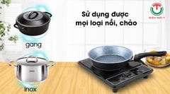 Bếp hồng ngoại Kangaroo KG20IFP1