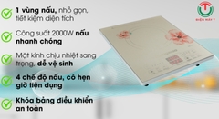 Bếp từ Kangaroo KG418I