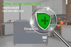 Tủ đông kháng khuẩn Kangaroo Inverter 375 lít KGFZ435IG1