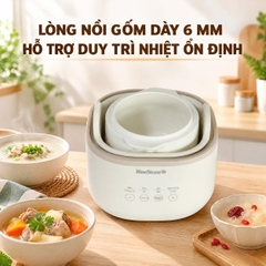 Nồi nấu chậm BlueStone SCB-6119 - 1 lít
