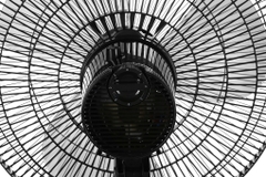 Quạt đứng Midea FS40-18CB Đen