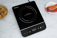 Bếp từ đơn Rapido RI2000 ES