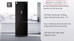 Tủ lạnh Samsung Inverter 307 lít RB30N4190BY/SV