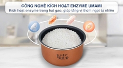 Nồi cơm điện tử Toshiba 1 lít RC-10DR5UVN(H)