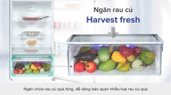 Tủ lạnh Beko Inverter 422 lít RDNT470I50VK