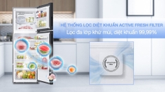 Tủ lạnh Samsung Inverter 460 lít RT47CB66868ASV