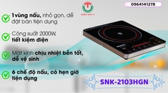 Bếp hồng ngoại Sanaky SNK-2103HGN