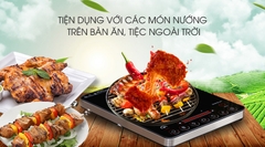 Bếp hồng ngoại Sanaky SNK-2103HGN
