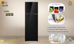 Tủ lạnh LG Inverter 266 lít T26BG [ Mới ]