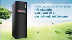 Tủ Lạnh LG Inverter 272 Lít GN-M255BL