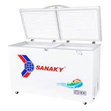 Tủ đông Sanaky 270 lít VH-3699A1