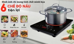 Bếp hồng ngoại đơn Sanaky VH3100HG