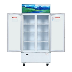 Tủ mát Sanaky 500 lít VH-6009HP