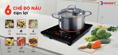 Bếp Hồng Ngoại Đơn Sanaky VH-6100HG