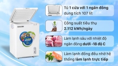 Tủ đông Hòa Phát HCF 106S1Đ