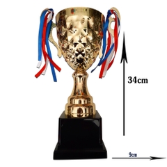 Cúp thể thao 2020 mẫu 3116