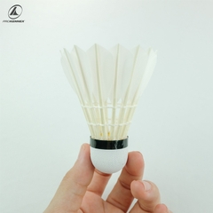 Hộp Cầu Lông ProKennex Power