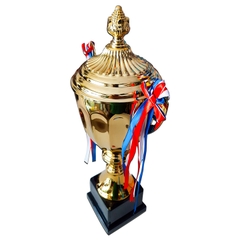 cúp thể thao 2021 mẩu 7706