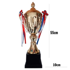 cúp thể thao 2021 mẩu 7706