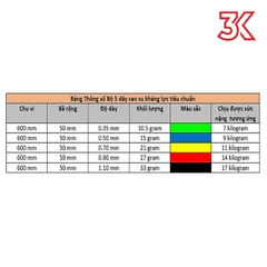 Bộ 5 dây kháng lực RACINESS , IWIN