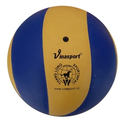 Bóng chuyền Thăng Long VB6800 da pu , TL6800 da nhăn
