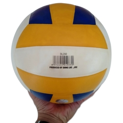 Bóng chuyền Động Lực 200