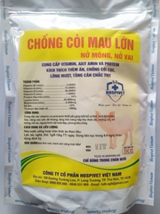 CHỐNG CÒI MAU LỚN cung cấp vitamin, axit amin và protein kích thích thèm ăn, chống còi cọc, lông mượt, tăng cân chắc thịt