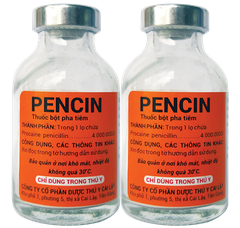 PENCIN 4g 40ml Thuốc bột pha tiêm điều trị viêm vú, viêm khớp, nhiễm trùng huyết