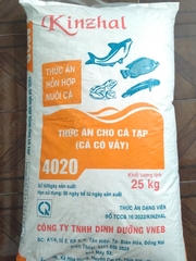 4020B2 Thức ăn cho cá tạp (cá có vảy) 2mm 20%