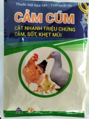 CẢM CÚM TỎI Thuốc bột hoà tan tinh chất tỏi cắt nhanh triệu chứng cảm sốt khẹt mũi