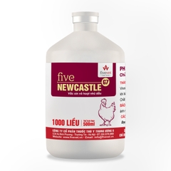 Five Newcastle G7 Vaccine vô hoạt nhủ đầu phòng bệnh Newcastle chủng độc lực cao và biến chủng