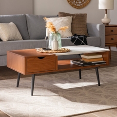 BÀN TRÀ GỖ HIỆN ĐẠI - BTG14