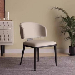 Ghế Ăn Nhập Khẩu Khung Sắt - GAN166