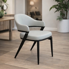 Ghế Ăn Nhập Khẩu Khung Sắt - GAN169