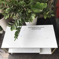 BÀN TRÀ SOFA - BT56