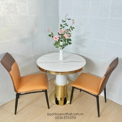 GHẾ VENUS NHẬP KHẨU - GAN13