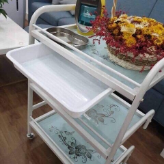 Xe đẩy spa 3 tầng mặt kính