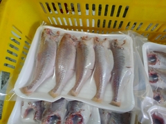 Cá Đù Tươi