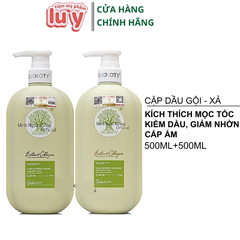 Cặp Gội Xả Biotin Dẹt 2024 Xanh Lá Kiềm Dầu 500ml [Cty - Full VAT]