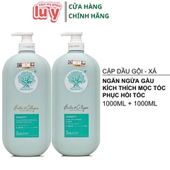 Cặp Gội Xả Biotin Dẹt 2024 Xanh Dương Trị Gầu 1000ml [Cty - Full VAT]