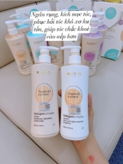 Cặp Gội Xả OLEXRS Argan Oil Mẫu Mới - 960ml - Hồng [Cty - Full VAT]