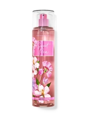 [Chiết thuỷ tinh] Xịt Thơm Bath & Body Works chiết 10ml
