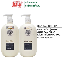 Cặp Gội Xả Biotin Dẹt 2024 Trắng Phục Hồi 500ml [Cty - Full VAT]