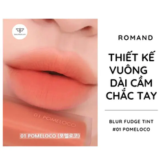 Son Romand Blur Fudge Tint