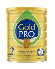 Arti Gold Pro 2 900g