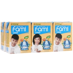 Fami Canxi 200ml Lốc